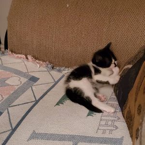 Meet your Posher, Jamie